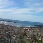 Dream View *