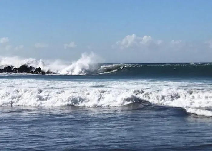 Appartement Dream View